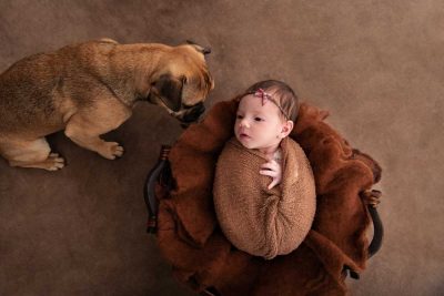 Baby-fotoshooting-mit-hund